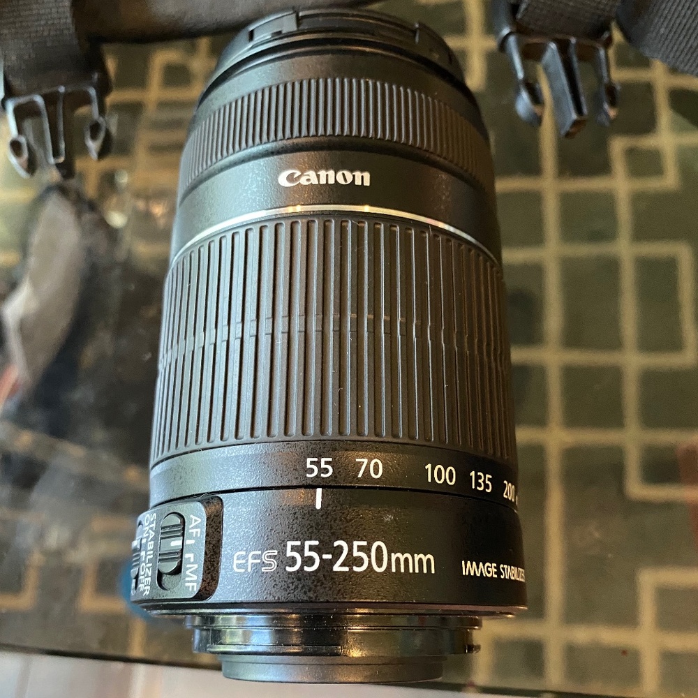 Canon EFS 55-250 lense
